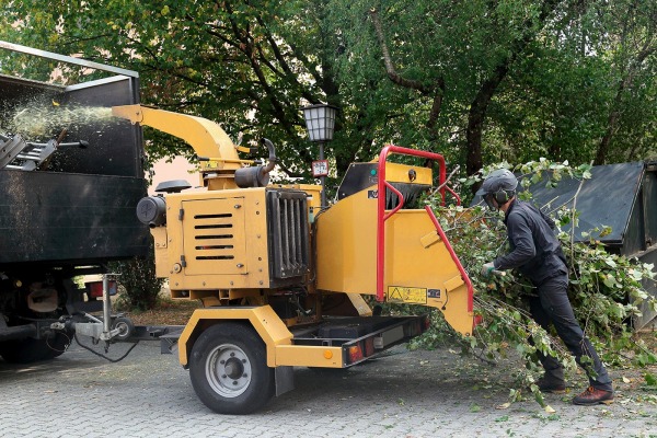 Debris and Lot Clearing